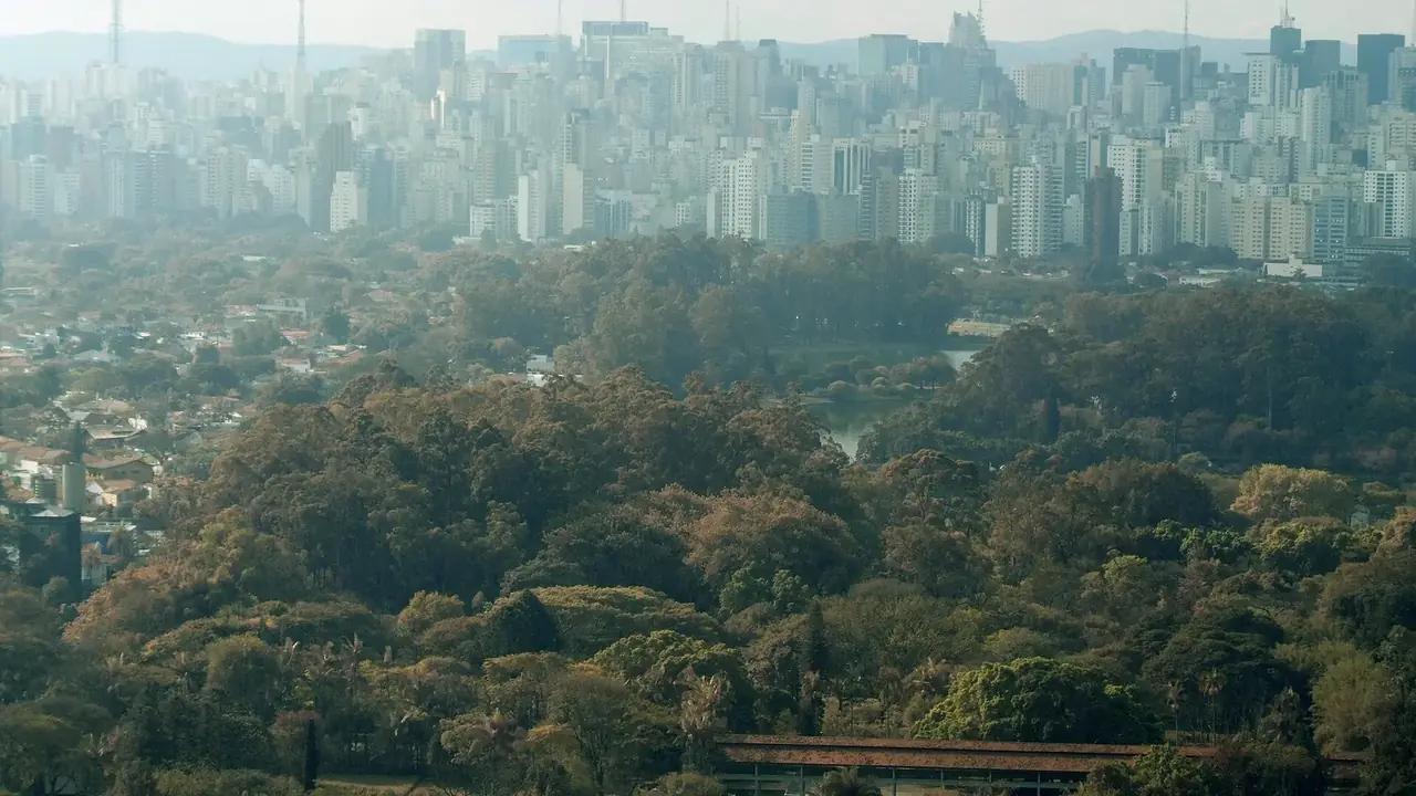 Creación de Sitios São Paulo